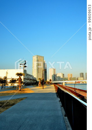 晴海臨海公園から観る商業施設と高層マンションの夕景 晴海臨海公園から観る商業施設と高層マンションの夕景 99609653