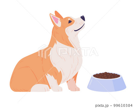 Corgi puppy. Cartoon cute corgi pet with dog food, happy domestic pedigree puppy waiting command to eat flat vector illustration 99610384