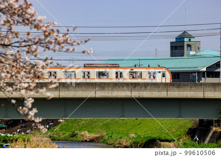 桜満開の春 鉄橋を渡る東武東上線 桜満開の春 鉄橋を渡る東武東上線 99610506