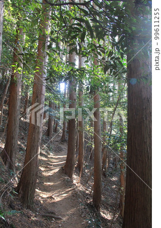 登山道 登山道 99611255