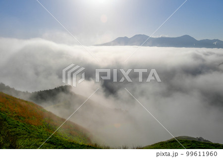 初秋の阿蘇に雲海が沸き起こり草原では馬のシルエットが美しい 初秋の阿蘇に雲海が沸き起こり草原では馬のシルエットが美しい 99611960