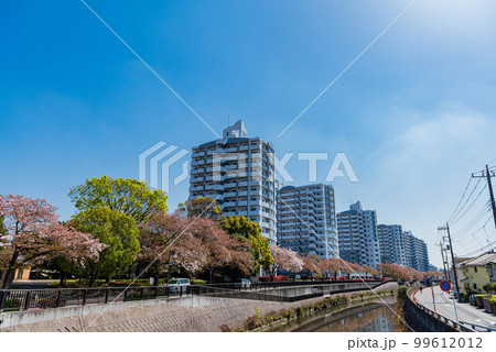 北松戸のUR賃貸住宅と春の青空 99612012