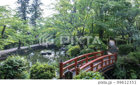公園の道 新緑の季節(打吹公園) 公園の道 新緑の季節(打吹公園) 99612351