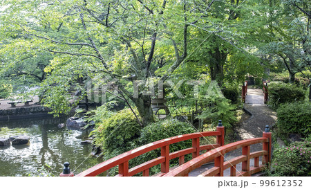 公園の道　新緑の季節（打吹公園） 99612352