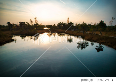 A drone photo of expansive summer swamps with winding streams, tall reeds and grasses, and green and brown wetlands. Capturing the nature scenery of this remote and unspoiled wilderness A drone photo of expansive summer swamps with winding streams, tall reeds and grasses, and green and brown wetlands. Capturing the nature scenery of this remote and unspoiled wilderness 99612413