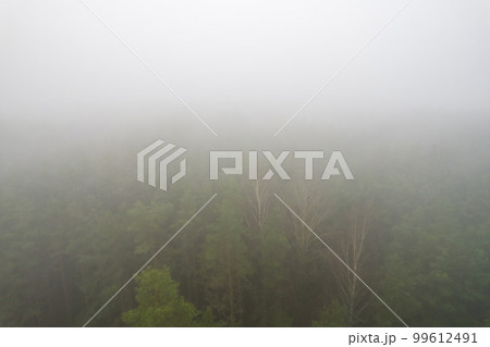 A stunning drone photo of a summer forest shrouded in thick fog. The mist creates a serene and tranquil setting, with an quality that enhances the natural beauty of the landscape. A stunning drone photo of a summer forest shrouded in thick fog. The mist creates a serene and tranquil setting, with an quality that enhances the natural beauty of the landscape. 99612491