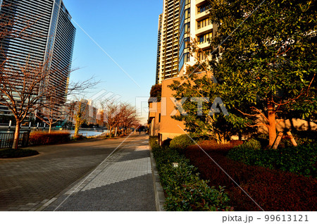 晴海・勝どき・月島エリアの高層マンション群の風景 晴海・勝どき・月島エリアの高層マンション群の風景 99613121