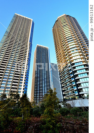 晴海・勝どき・月島エリアの高層マンション群の風景 晴海・勝どき・月島エリアの高層マンション群の風景 99613162