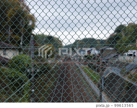 大佐倉散策 99613565