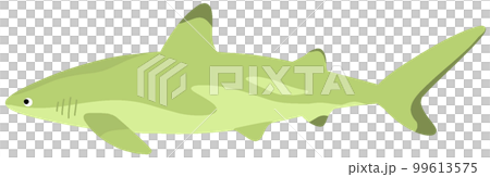 ツマグロ 99613575