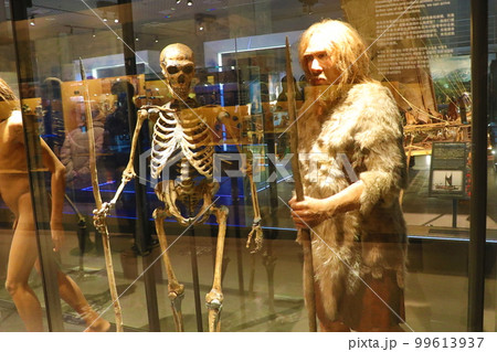 国立科学博物館 地球館の展示 国立科学博物館 地球館の展示 99613937