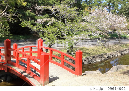 【香川県】 桜咲く春の「名勝 琴弾公園」(銭形砂絵) 【香川県】 桜咲く春の「名勝 琴弾公園」(銭形砂絵) 99614092