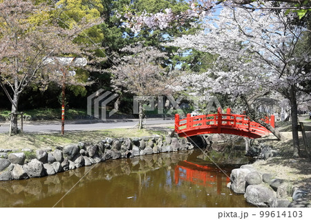 【香川県】 桜咲く春の「名勝 琴弾公園」(銭形砂絵) 【香川県】 桜咲く春の「名勝 琴弾公園」(銭形砂絵) 99614103