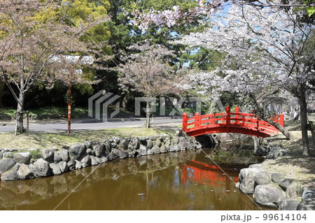 【香川県】 桜咲く春の「名勝 琴弾公園」（銭形砂絵）  99614104