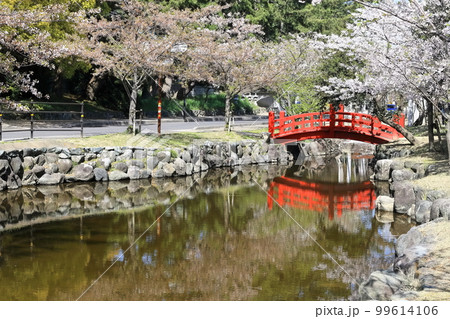 【香川県】 桜咲く春の「名勝 琴弾公園」(銭形砂絵) 【香川県】 桜咲く春の「名勝 琴弾公園」(銭形砂絵) 99614106