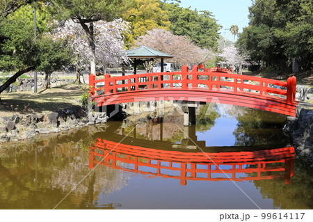 【香川県】 桜咲く春の「名勝 琴弾公園」(銭形砂絵) 【香川県】 桜咲く春の「名勝 琴弾公園」(銭形砂絵) 99614117