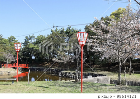 【香川県】 桜咲く春の「名勝 琴弾公園」(銭形砂絵) 【香川県】 桜咲く春の「名勝 琴弾公園」(銭形砂絵) 99614121