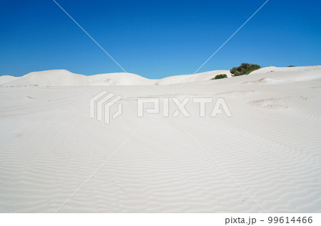 西オーストラリア州の観光名所、ランセリンの白い砂漠 西オーストラリア州の観光名所、ランセリンの白い砂漠 99614466