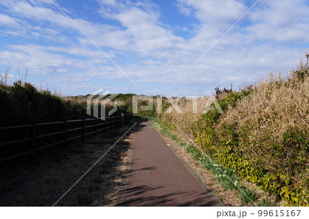 【城ヶ島】馬の背洞門へ続く道 99615167