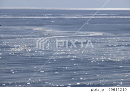 北海の浜に寄せる流氷帯 99615210