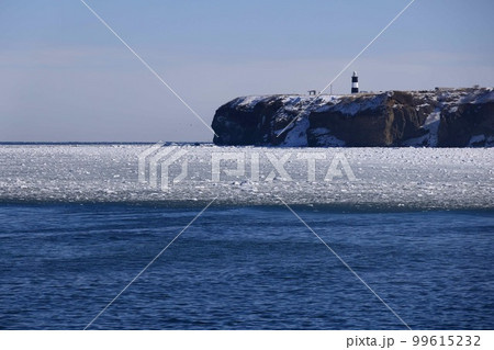 能取岬の冬景色 99615232