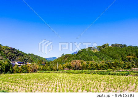 神龍八代龍王神社(しんりゅうはちだいりゅうおうじんじゃ)周辺から観える田園風景 神龍八代龍王神社(しんりゅうはちだいりゅうおうじんじゃ)周辺から観える田園風景 99615393
