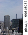 上空からの都会の街並み 99616082