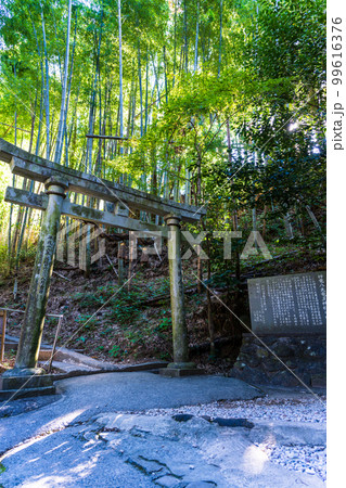鳥居　神龍八代龍王神社（しんりゅうはちだいりゅうおうじんじゃ）鳥居風景 99616376