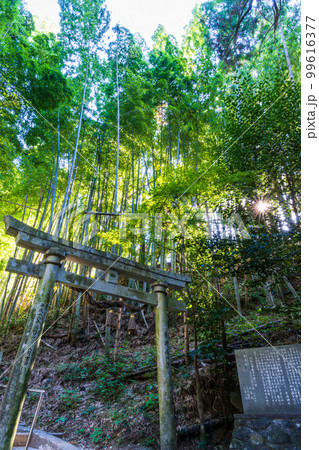 鳥居 神龍八代龍王神社(しんりゅうはちだいりゅうおうじんじゃ)鳥居風景 鳥居 神龍八代龍王神社(しんりゅうはちだいりゅうおうじんじゃ)鳥居風景 99616377
