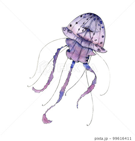 Watercolor illustration of a jellyfish. Design element for menu, restaurant, aquarium, oceanarium. Mix technique - watercolour and graphics. Sea Dwellers. 99616411