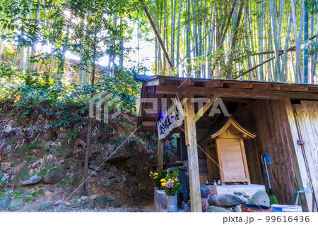神龍八代龍王神社(しんりゅうはちだいりゅうおうじんじゃ) 神龍八代龍王神社(しんりゅうはちだいりゅうおうじんじゃ) 99616436