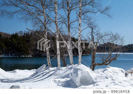 冬の奥日光 湯ノ湖の風景 2月 冬の奥日光 湯ノ湖の風景 2月 99616458