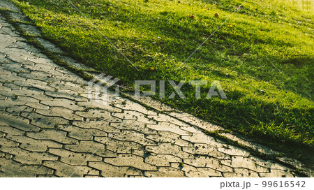 Summer morning warm sun reflect footpath garden paving stones landscape country texture track pedestrian path green grass grows near tiles diagonal line wavy Summer morning warm sun reflect footpath garden paving stones landscape country texture track pedestrian path green grass grows near tiles diagonal line wavy 99616542