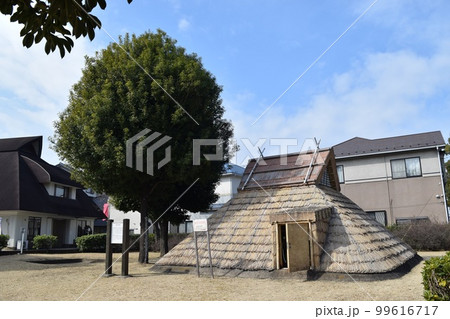復元された竪穴式住居と大きな木(足立区東伊興) 復元された竪穴式住居と大きな木(足立区東伊興) 99616717