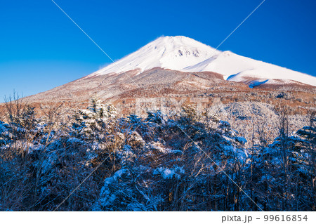 (静岡県)降雪した水ヶ塚公園・腰切塚展望台から望む、富士山 (静岡県)降雪した水ヶ塚公園・腰切塚展望台から望む、富士山 99616854