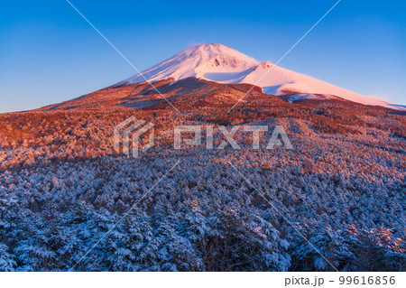(静岡県)降雪した水ヶ塚公園・腰切塚展望台から望む、富士山 (静岡県)降雪した水ヶ塚公園・腰切塚展望台から望む、富士山 99616856