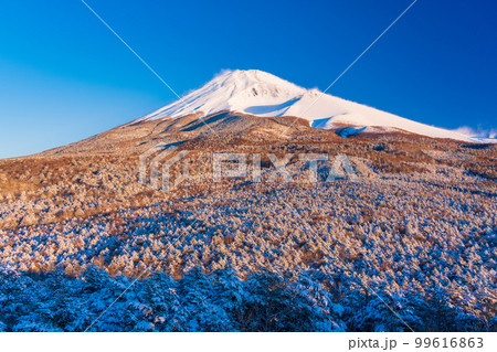 （静岡県）降雪した水ヶ塚公園・腰切塚展望台から望む、富士山 99616863