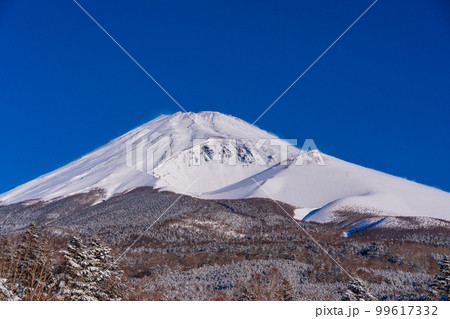 （静岡県）降雪した水ヶ塚公園から望む、富士山頂 99617332