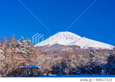 （静岡県）降雪した水ヶ塚公園から望む、富士山頂 99617333
