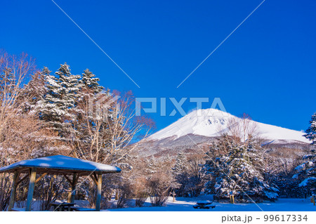 （静岡県）降雪した水ヶ塚公園から望む、富士山頂 99617334