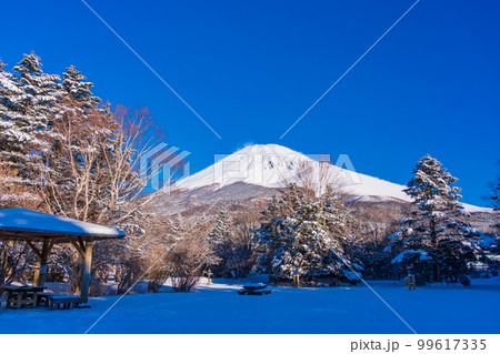 （静岡県）降雪した水ヶ塚公園から望む、富士山頂 99617335
