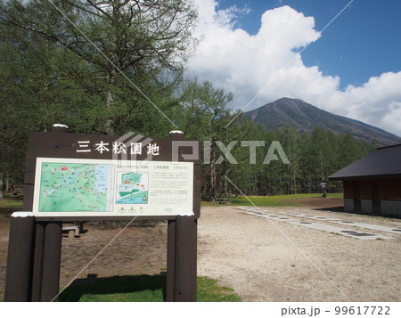 春の三本松園地（奥日光） 99617722