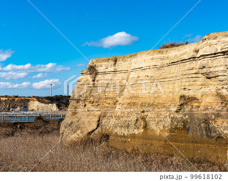 日本のドーバー　千葉県屛風ヶ浦の約250万年前の地層 99618102