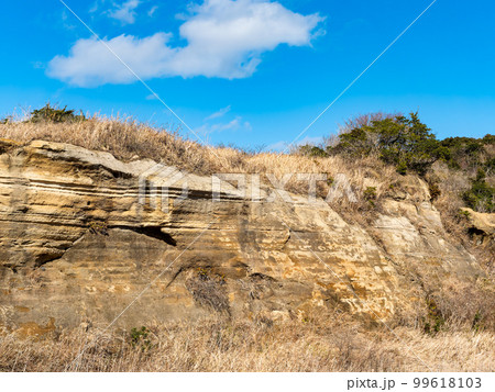 日本のドーバー 千葉県屛風ヶ浦の約250万年前の地層 日本のドーバー 千葉県屛風ヶ浦の約250万年前の地層 99618103