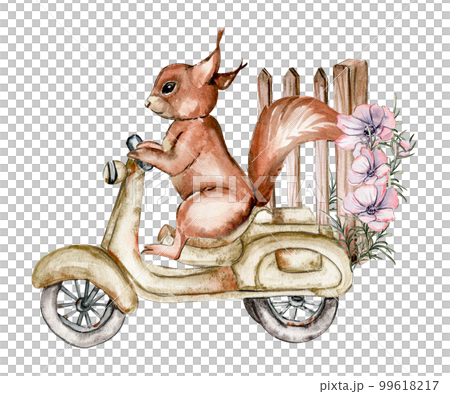 Watercolor illustration of a squirrel on rusty motorbike. An old rusty enamel element. Hand-drawn in watercolour on a white background. Perfect for wedding invitation, greetings card. 99618217