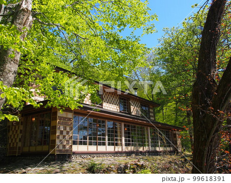 新緑のイタリア大使館別荘記念公園 99618391