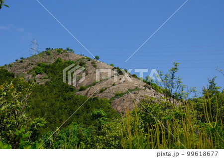 播州アルプスの高御位山 99618677