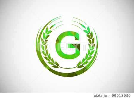 Alphabet G sign with a wheat wreath. Polygonal low poly organic wheat farming logo concept. Agriculture logo design vector template. Alphabet G sign with a wheat wreath. Polygonal low poly organic wheat farming logo concept. Agriculture logo design vector template. 99618936