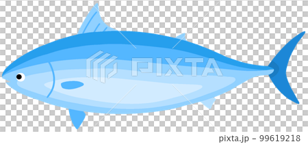 Marsouda(蘇達鯧魚) Marsouda(蘇達鯧魚) 99619218