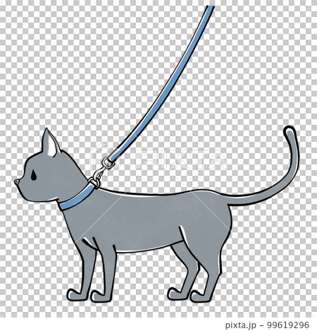 Lead cat illustration Lead cat illustration 99619296